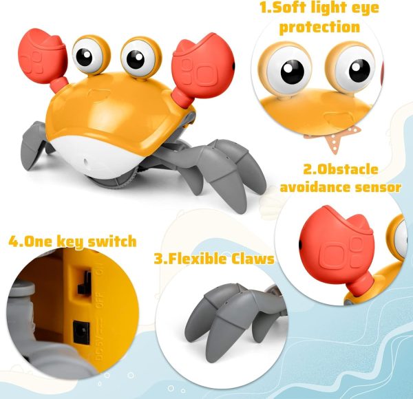 Crawling Crab Baby Toy (random colors)